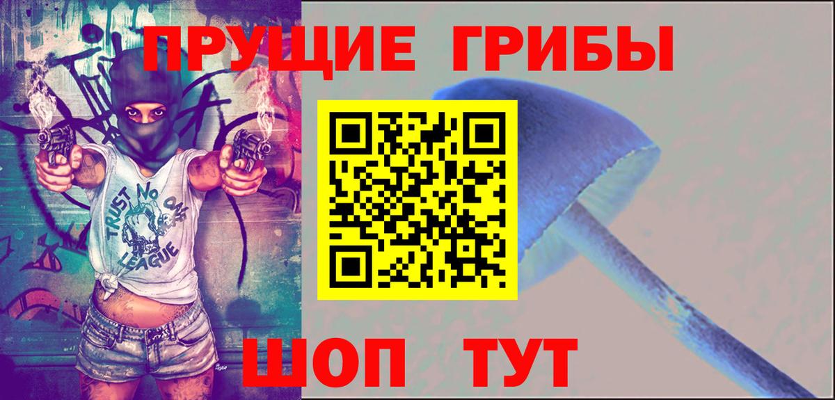 Нижнеудинск  Псилоцибиновые грибы прущие грибы  купить закладку  Вход с VPN 