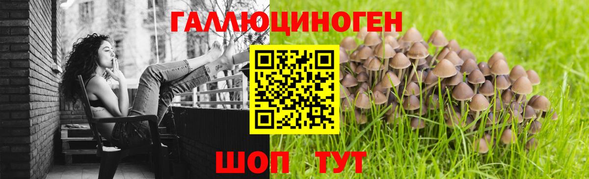 Псилоцибиновые грибы Psilocybine cubensis Нижнеудинск